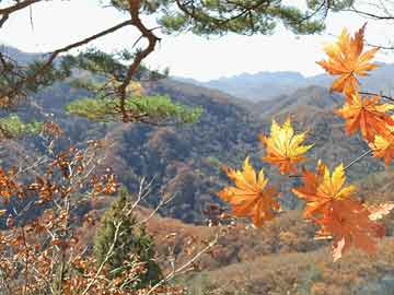 深圳短租公寓一个月福田（深圳福田单身公寓出租）